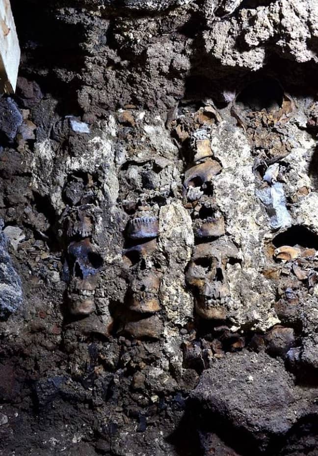 发现了119名男性，女性和儿童的遗体。信用：伊斯特图托·纳科尼·纳瓦洛哥哥哥洛哥