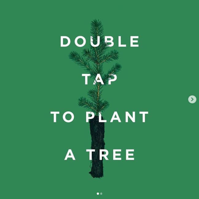 Tentree树现在是有史以来最受欢迎的Instagram照片。信用：Instagram.
