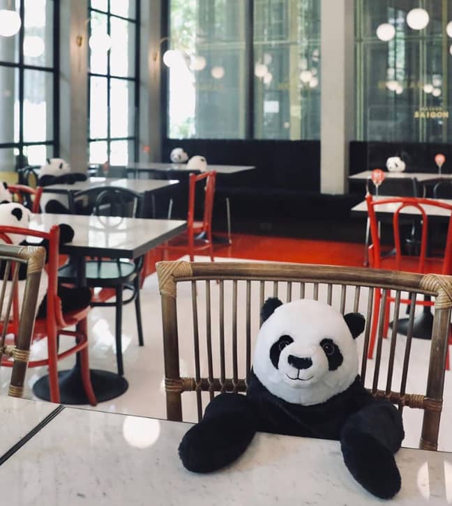 顾客说，这使他们在进食时感觉不那么孤独。学分：Instagram/Maison Saigon
