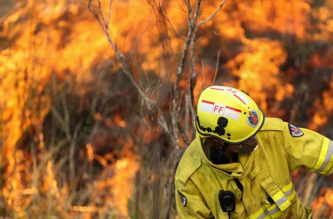 一名消防员在新南威尔士州塔里附近的丛林大火中与火焰作斗争。信用：PA