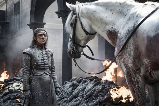 艾莉亚（Arya）和第五集中的马。学分：HBO