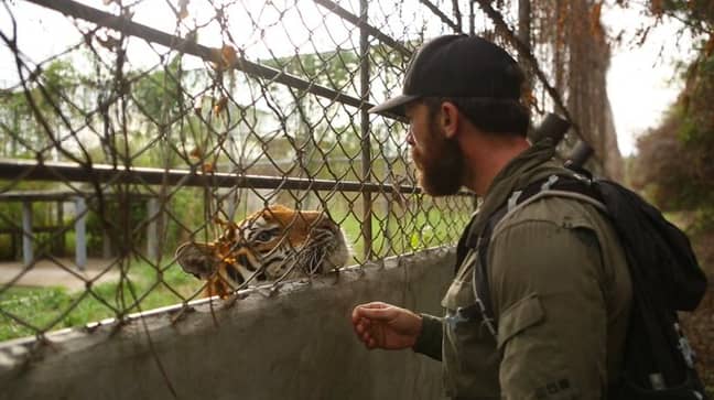 阿尔多·凯恩（Aldo Kane）对他在农场中发现一些老虎的条件感到震惊。学分：BBC