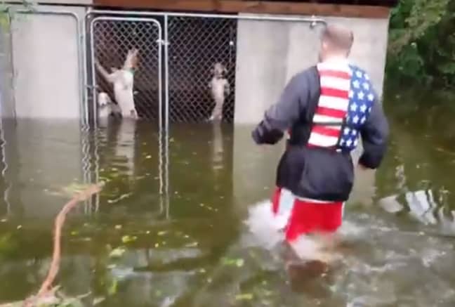 救援者在佛罗伦萨飓风期间拯救了废弃的狗。信用：破裂