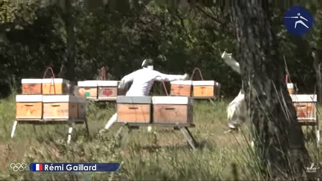 围栏反对养蜂人。学分：YouTube/Remi Gaillard