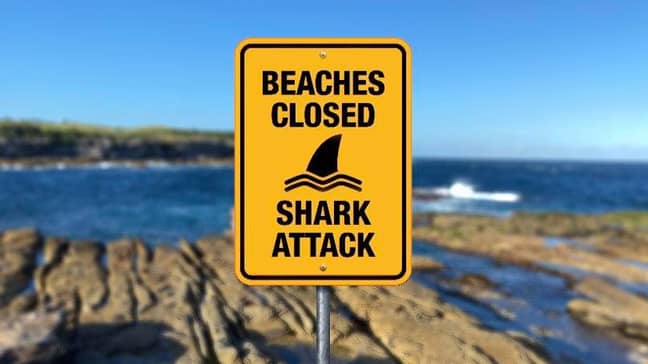 悉尼的许多海滩今天关闭。信用：兰德威克市议会