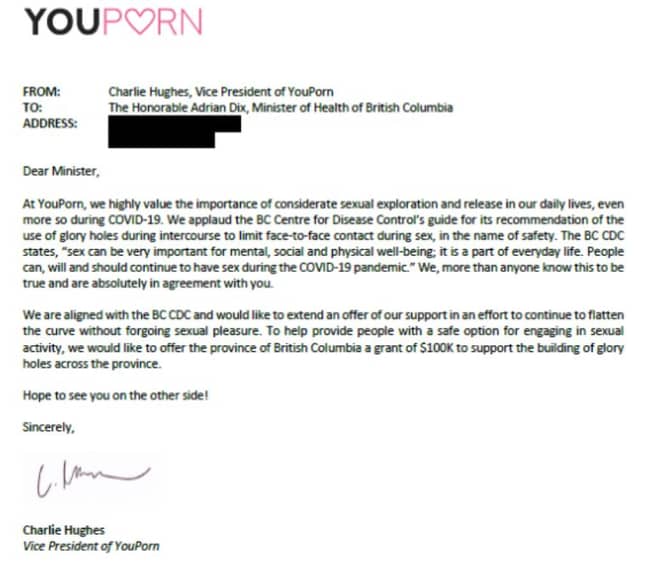 YouPorn提出要支付100,000美元来安装“荣耀洞”。图片来源：Youporn/Victorianow