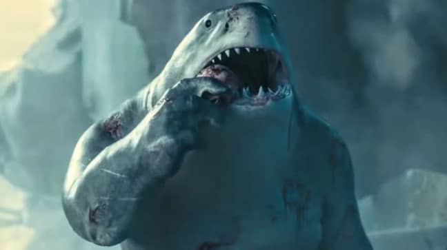 国王鲨已成为粉丝的最爱。信用：DC电影“width=