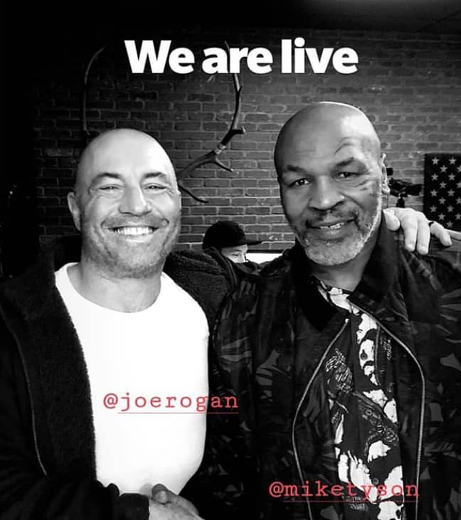 泰森和罗根（Tyson）在播客期间一起抽大麻。学分：Joe Rogan/Instagram