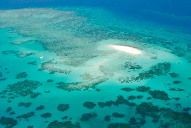 澳大利亚的大障碍礁可能受到威胁。学分：PA