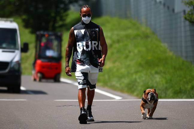 刘易斯·汉密尔顿（Lewis Hamilton）的狗罗斯科（Roscoe）正在纯素食。信用：PA