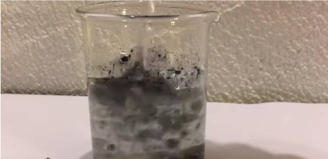 聪明的青少年提出了一种可以从水中提取微塑性颗粒的溶液。信用：谷歌科学博览会/菲奥尼恩·费雷拉
