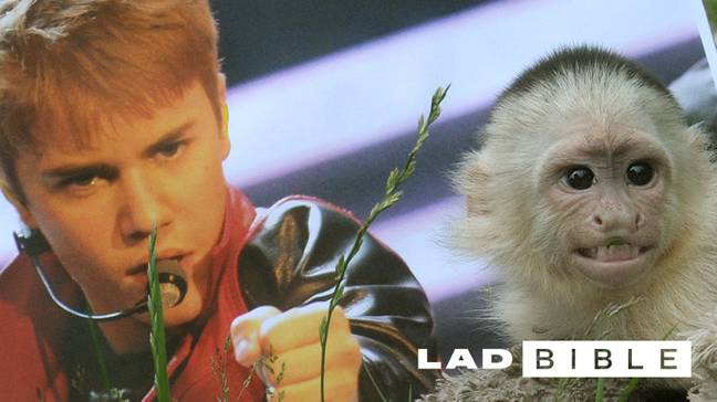 Justin Bieber和他的猴子Mally。信用：PA