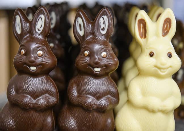 巧克力兔子可以被认为是不必要的吗?信贷:爸爸＂width=