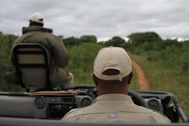 童子军在南非的Phinda私人游戏保护区中寻找白犀牛。学分：PA“width=