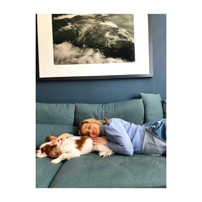 塔比莎·威利特（Tabitha Willett）和她自己的狗。信用：Instagram