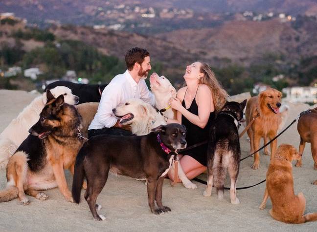 劳拉和莫里斯浪漫求婚后，治疗犬围着他们。资料来源:丽贝卡·耶鲁摄影/劳拉·斯坦普勒