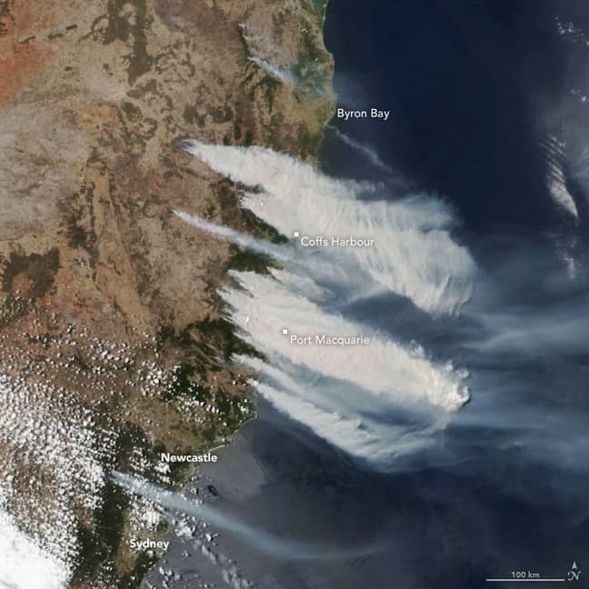 一张图片显示了11月8日丛林大火。学分：NASA地球天文台