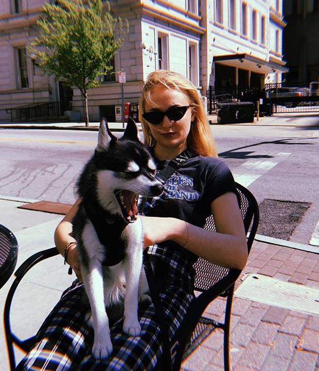 特纳与她的其他狗，porky basquiat。信用：Sophie Turner / Instagram