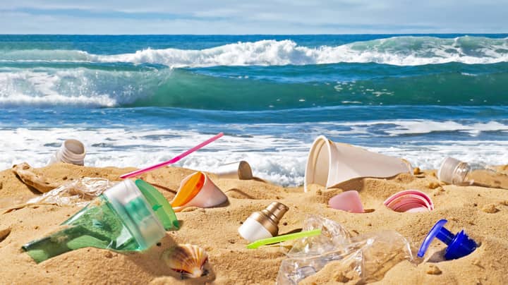 昆士兰州移动以禁止一次性塑料吸管，餐具和盘子，以挽救海洋生物