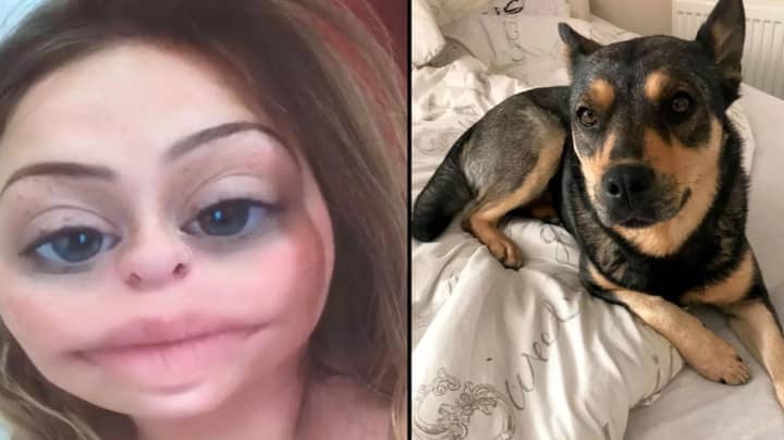醉酒的女人绑架狗，然后发布有关它的Snapchat视频
