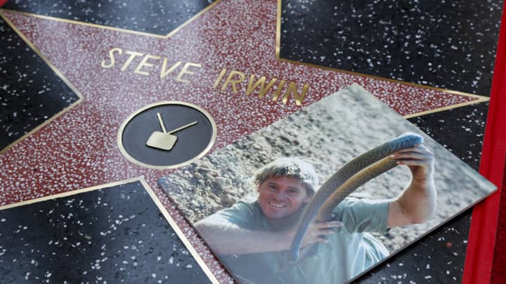 史蒂夫·欧文（Steve Irwin）在好莱坞的名人气中获得明星