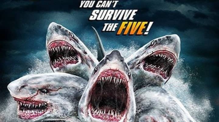 现在可以在Amazon Prime上观看5头鲨鱼攻击