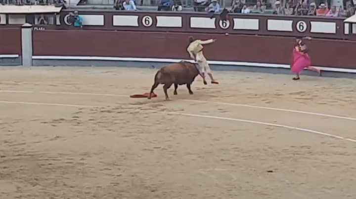 视频显示斗牛士在背面被公牛盖住
