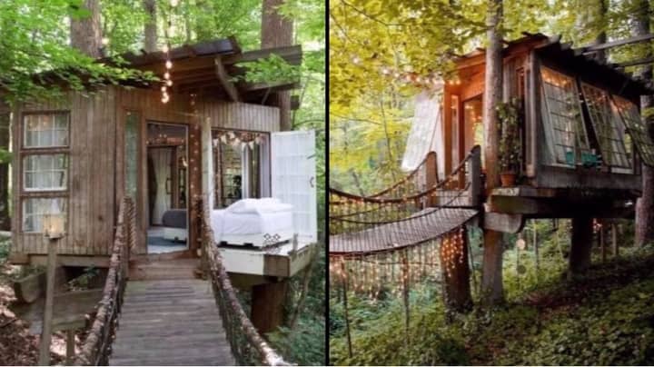 有一个树屋Airbnb，可以让您立即预订假期