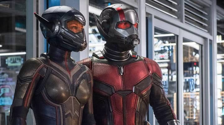 Ant-Man 3确认为导演Peyton Reed“签约”以返回