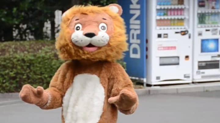 日本动物园的狮子“逃生演习”的热闹镜头风靡一时