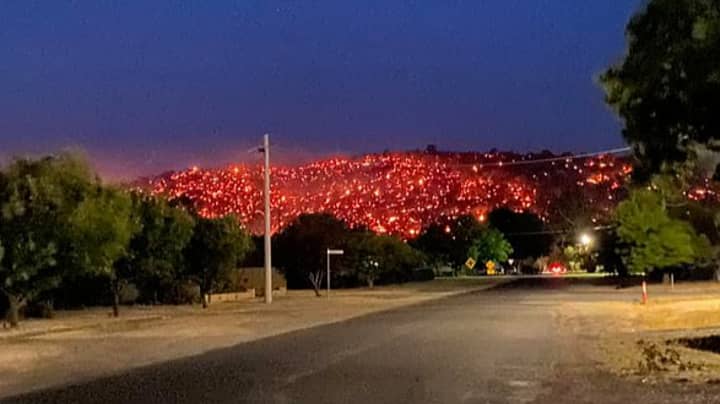图像显示澳大利亚山坡“在黑暗中发光”，因为丛林大火危机仍在继续“width=