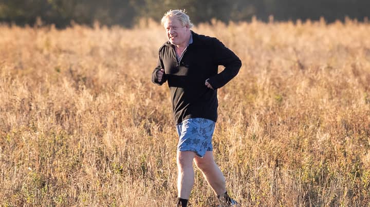 鲍里斯·约翰逊（Boris Johnson）穿过小麦田地到巨魔特蕾莎·梅