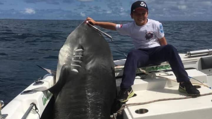在南悉尼海岸314公斤鲨中的八岁男孩卷轴“width=