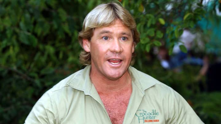 史蒂夫·欧文（Steve Irwin）传记片关于鳄鱼猎人的生活