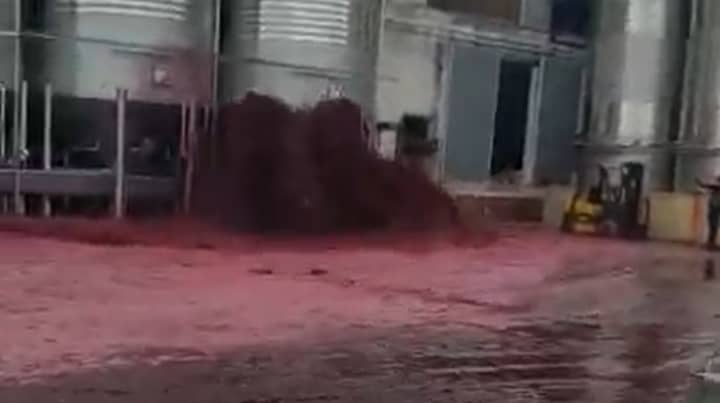 50,000升红酒从西班牙的酒厂爆炸