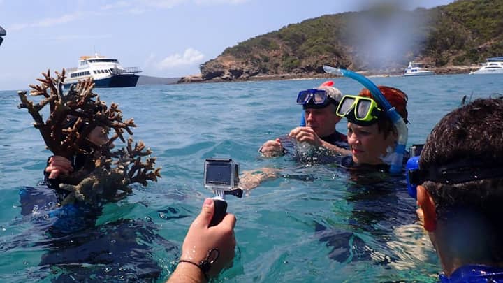 宝琳·汉森（Pauline Hanson）向科学家挑战了大堡礁的健康