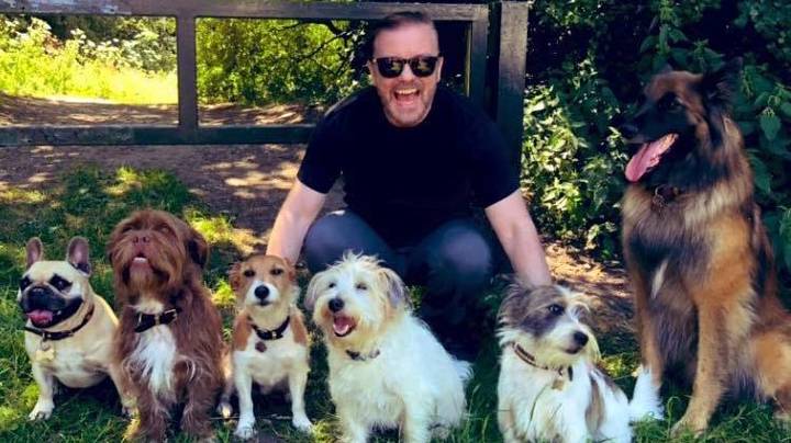 Ricky Gervais分享了《后生命2》中狗的照片