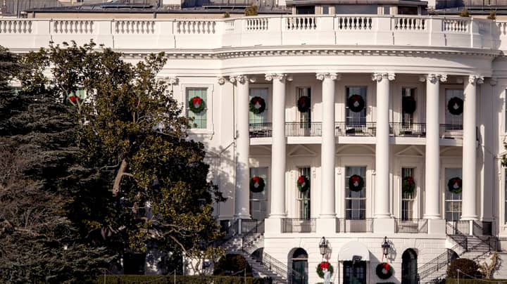 白宫的命令砍伐了近200年的著名树