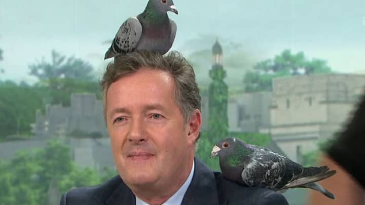 皮尔斯·摩根（Piers Morgan）否认他是一个独自一人的鸟儿2“width=