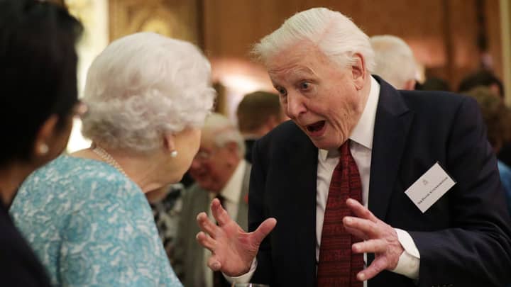 女王和大卫·阿滕伯勒（David Attenborough）在ITV纪录片中开玩笑