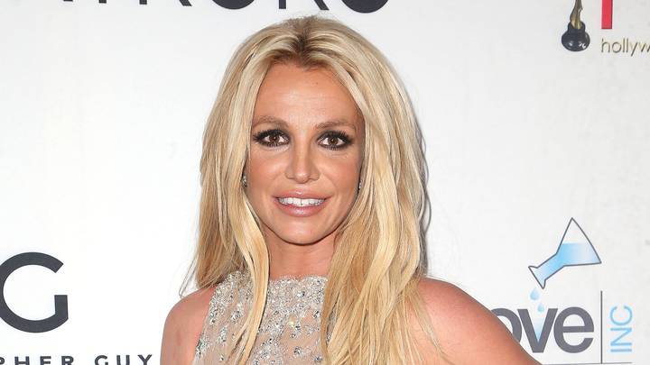 布兰妮·斯皮尔斯（Britney Spears）说，保护措施是“ f ***** g残酷”