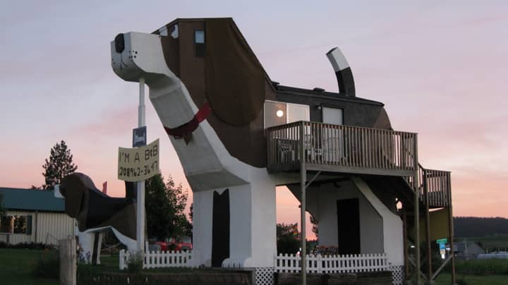 Airbnb上有一栋巨型狗的形状的房子“w一世dth=
