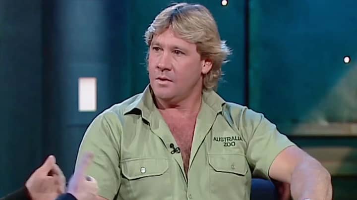 史蒂夫·欧文（Steve Irwin）在罗夫（Rove）上重新浮出水面的视频提醒人们为什么他如此传奇