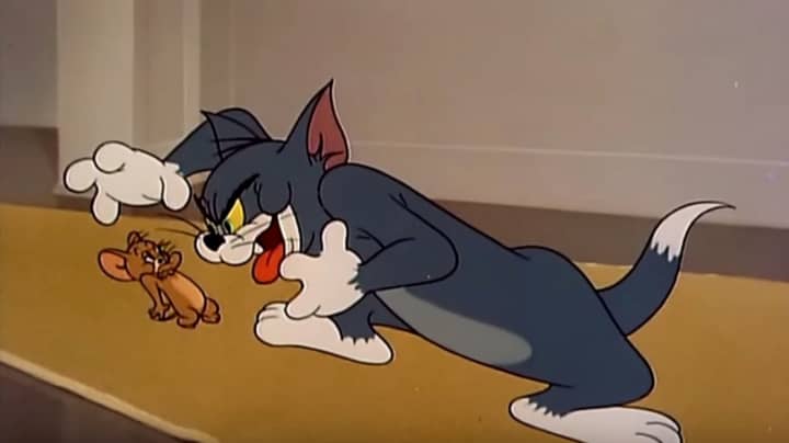 真人动作的生产Tom＆Jerry将于今年开始