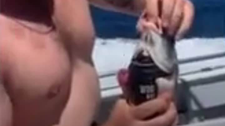 在病毒tiktok视频中，通过鱼的嘴唇通过鱼的嘴唇喝威士忌的人饮料罐头“width=