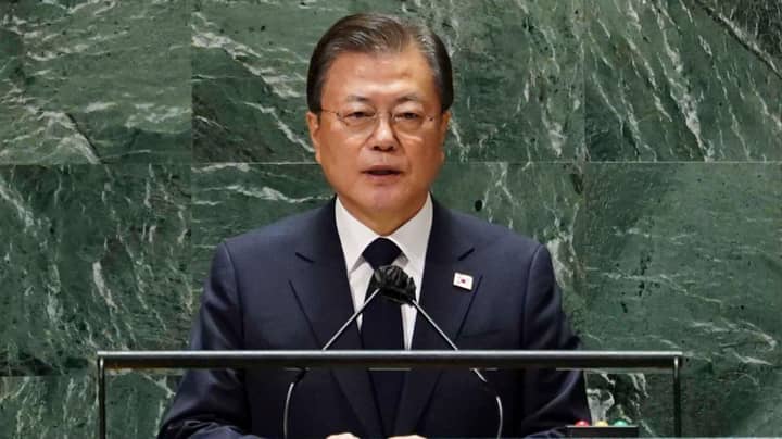 韩国总统建议最终是时候禁止吃狗肉