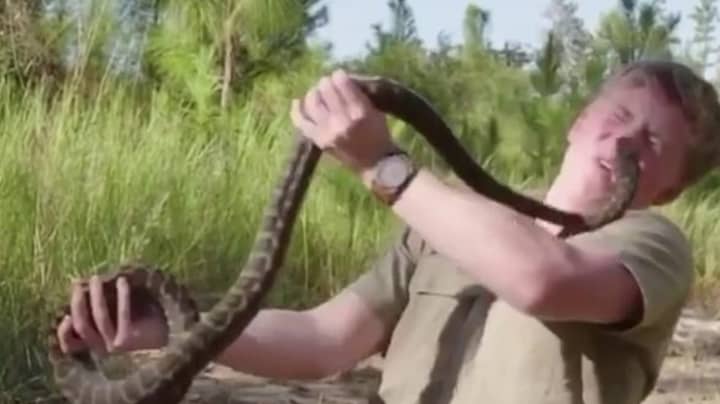 罗伯特·欧文（Robert Irwin）分享了自己受到蛇袭击的镜头“width=