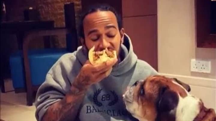 刘易斯·汉密尔顿（Lewis Hamilton）通过与狗分享食物来厌恶粉丝
