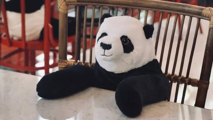 餐厅将熊猫玩具放在桌子上，以使食客公司在社交距离时保持公司