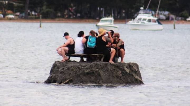 新西兰人建造岛屿避免酒精禁令
